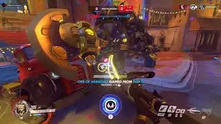 Dorado, 22.04.18 (muffinqt)