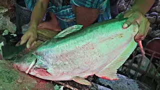 How To Remove Fish Skin | Big Pangas Fish Cutting In Bangladesh