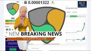 Cryptocurrency NEM $XEM Gains 53% During the Past 24 Hours