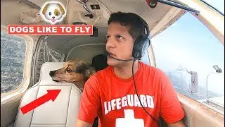 Shortest Flight in the world in a small airplane FXE to PMP flying VFR