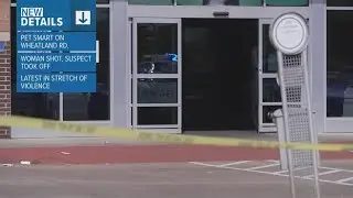 Police are investigating who fired shots at a Dallas PetSmart