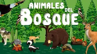 Animales del Bosque para ni&ntilde;os | Sonidos de animales | Videos educativos | LeoFunTv