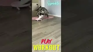 Play With Your Legs Exercise || High Speed Legs