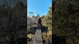 What makes you happy? (MUST SEE TASMANIA - DEVIL'S GULLET LOOKOUT)