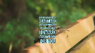 Following my intuition, my heart keeps me safe and sound | Daily Affirmations