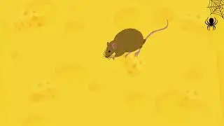 CAT GAMES - Mice. Mouse Sounds Video for Cats | CAT & DOG TV.