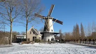 Winter Fun: Skating Adventures in Rotterdam's Magic! (Must-See!)#RotterdamWinter #Skating #Travel