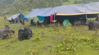 This Is A  Most  Peaceful  Mid Western  Rural  Nepal ll Daily Documentry  Enjoyfull  Video Of Nepal 