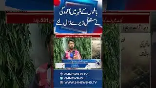 Pollution Takes Over Lahore - Still Ranked World&rsquo;s Most Polluted City - 24 News HD
