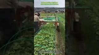 This Machine Builds a Greenhouse in Minutes