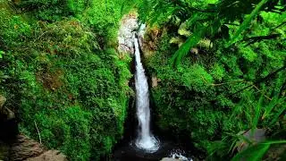 Gentle River Sound Therapy to Calm Anxiety and Heal the Emotional Mind