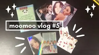 [messy moomoo vlog 5] | jung wheein is very cute