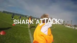 Sharks and Minnows Soccer