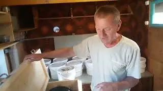 Сушилка для меда в работе