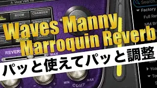 リバーブの難しさを解消！WAVES Manny Marroquin Reverbの魅力を解説します