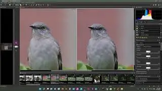 Capture NX-D Nikon Photography RAW developer