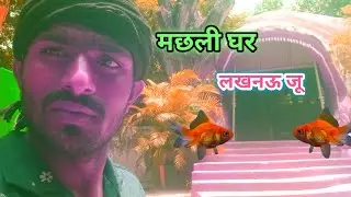 मछली घर &zwnj;। Fish house lucknow zoo  । #fish #house #vlog #zoo #lucknow