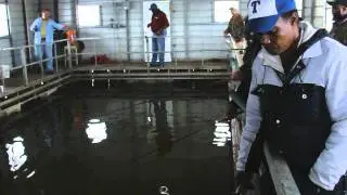 Crappie Fishing Mad House!  1/22/2012