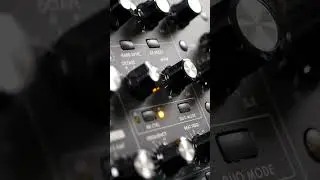 Exploring the Duophonic Side of Moog Subsequent 37 #shorts