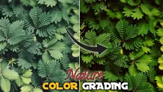 🌿Nature color grading using VN editor mobile | Cinematic moody green color grading