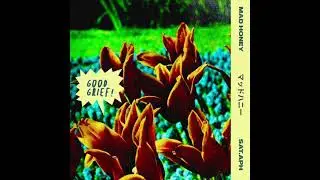 mad honey - &ldquo;Good Grief&rdquo; (Official Audio)