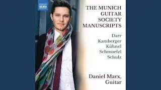Guitar Sonata in D Major: III. Allegro scherzando