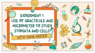 USE OF GRACTICULE AND MICROMETER TO STUDY STOMATA AND CELLS | FEDERAL BOARD | PBA | BIO | CLASS 11|