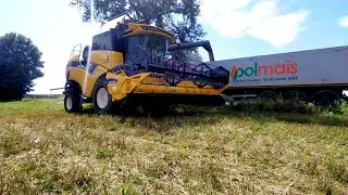 🔥Żniwa 2021🔥Żyto Pod Kose ⭐New Holland CX 5.80 & SCANIA⭐/GR Zalesie