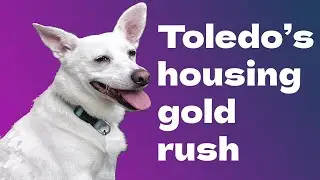 Toledo s Housing Divide  Are REITs Helping or Hurting Lifelong