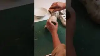 How to clean my VEJA Recife