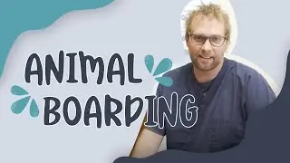 What is Animal Boarding?