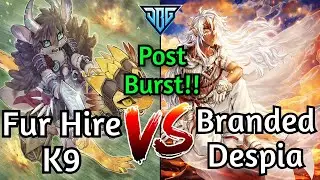 Fur Hire K9 Vs Branded Despia Post Burst Protocol Yu-Gi-Oh!