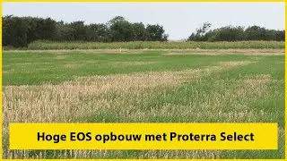 Proterra Select grasgroenbemester voor onderzaai in tarwe