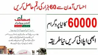 Get 60,000 from Ehsas amdan Program | 60,000 New program