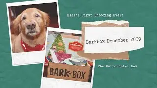 Barkbox December 2019 - Elsa&rsquo;s Very First Barkbox