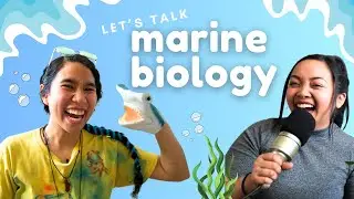Diving into Marine Biology 🦈 I Sea Creatures, Art, and a Game Show?! 😲 The Belugabee Show Ep. 1