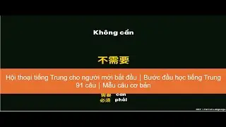 Hội thoại tiếng Trung cho người mới bắt đầu｜Bước đầu học tiếng Trung 91 câu｜Mẫu câu cơ bản