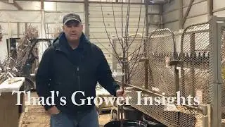 1 22 26 Thad's Grower Insights