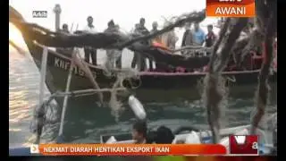 NEKMAT diarah hentikan eksport ikan
