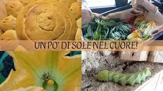 la festa del SOLE ☀️ in CASCINA👩🏼&zwj;🌾🌾