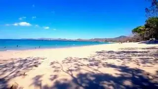 Beach Crawl