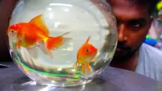 ISOCHRONISM - An Experimental Short film