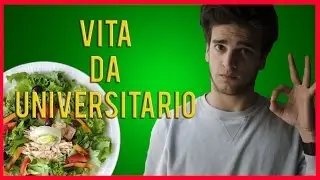 VITA DA UNIVERSITARIO - L'INSALATINA DIVINA!