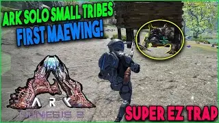 Taming My First Maewing On Ark Solo Small Tribes - Genesis 2