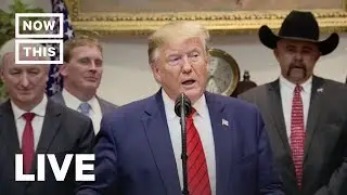 Trump Signs Executive Order on Transparency in the Federal Government | NowThis