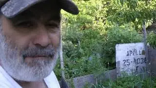 Pocket Garden Madness!