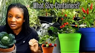 Growing Fruits And Vegetables In Containers Is Easy! What Size Containers To Plant In  For Success 