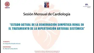 Estado actual de la denervaci&oacute;n simp&aacute;tica renal en el tratamiento de la hipertensi&oacute;n arterial