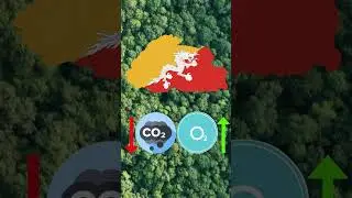 Which is Only CO2 Negative Country?