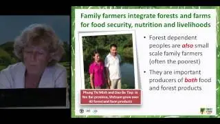 Eva M&uuml;ller, Director, Forest Economics, Policy and Products Division, FAO Forestry Department